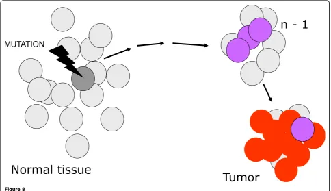 Figure 8POPULATION GENETICS IS APPLICABLE TO POPULATION OF CELLS  