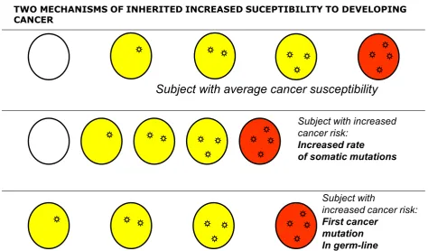 Figure 10 A graphic representation (current referred to as a cyclo-plot) of the multiple defects detected in the genome of a tumor (afor point mutation, copy number and rearrangement data relative to mapping position in the genome