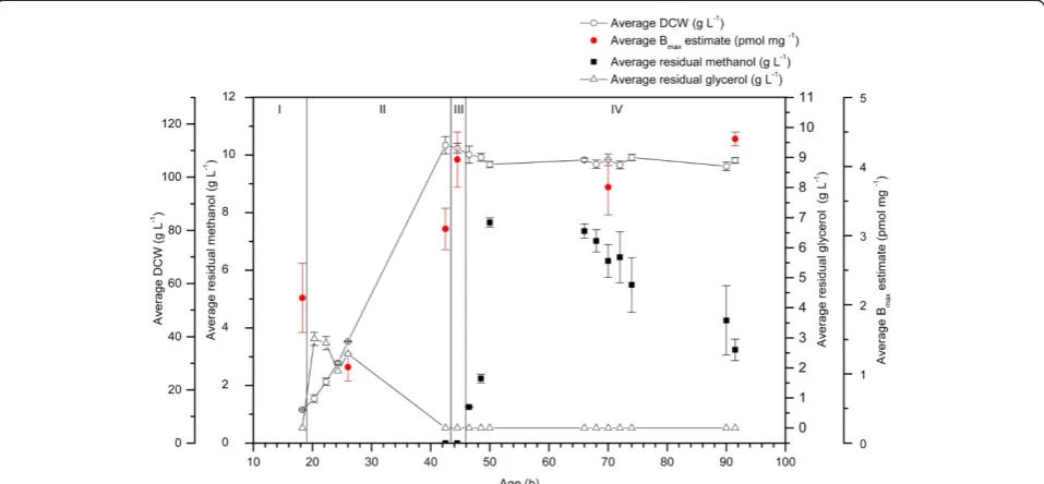 Figure 1 hA2aR binding activity is present in all phases of 1 L glycerol-grown P. pastoris bioreactor cultivations