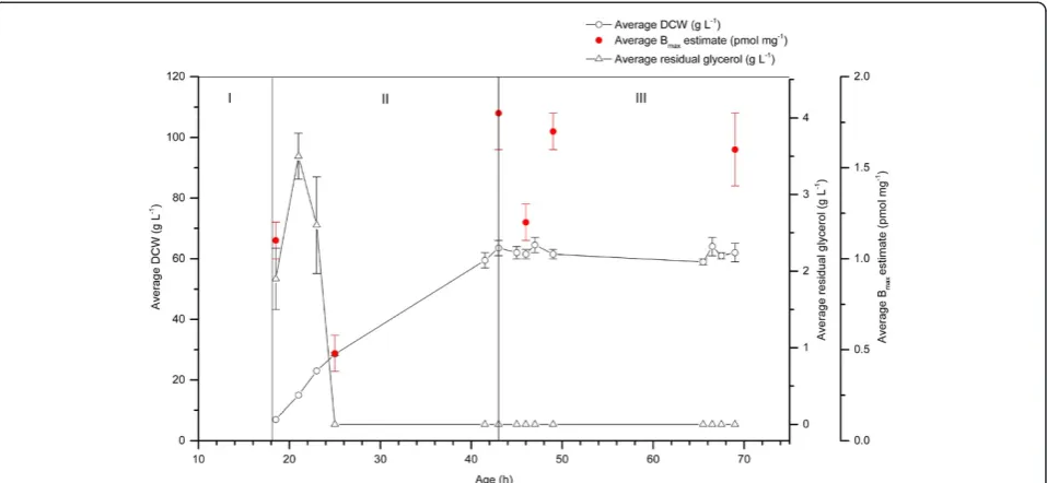 Figure 2 hA2aR binding activity is present in all phases of 1 L methanol-free cultivations