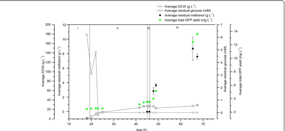 Figure 4 Recombinant hA2aR is produced in the pre-induction phases of 1 L glucose-grown P