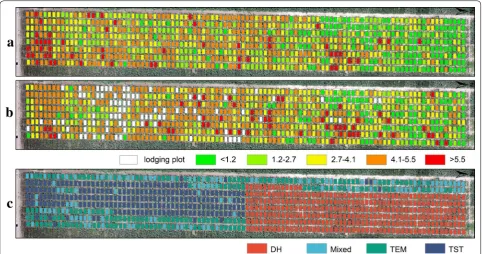 Fig. 9 Spatial distribution of maize AGB (kg/m2) at the plot scale from RF model estimation