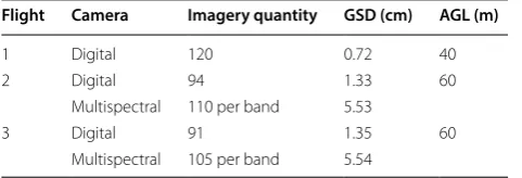 Table 3 Processing quality report for evaluating the accuracy of DSMs