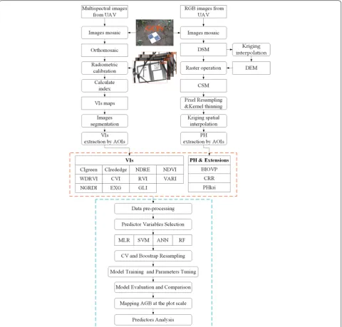 Fig. 3 Schematic diagram of methodology used in this study. The red rectangular box contains all predictors extracted from the UAV images, and the blue rectangular box contains modeling methods and analysis procedures