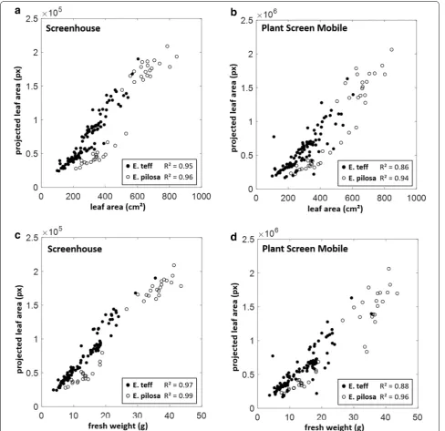 Fig. 4 Case study Eragrostis: Projected leaf area (PLA) of complete plants of two Eragrostis species estimated with the Screenhouse System (a, c) and Plant Screen Mobile application (b, d) was compared to measured leaf area (a, b) and measured fresh weight (c, d)