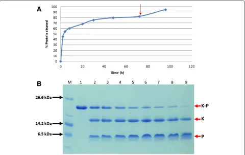 Figure 4 Purified p53pAnt peptide. SDS-PAGE 10% T, 3% C;Tris-Tricine buffer system. M: Molecular weight marker; 1: p53pAnt.A: 0.125 μg of peptide visualized with silver staining