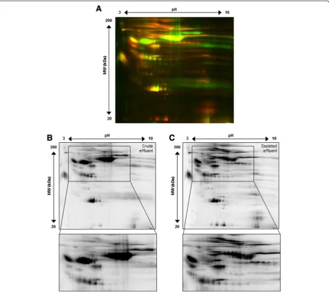 Figure 3 High abundant protein removal improves spot number and resolution for wound effluent