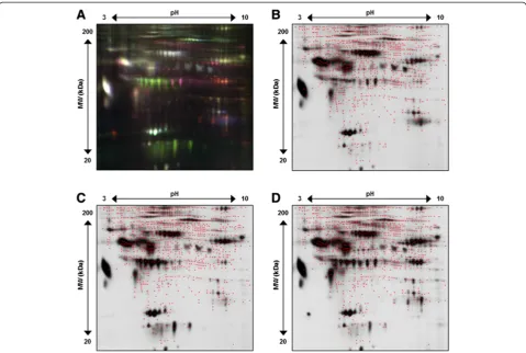 Figure 4 Representative 2-D DIGE gel image of EFFLUENT after high abundant protein depletion