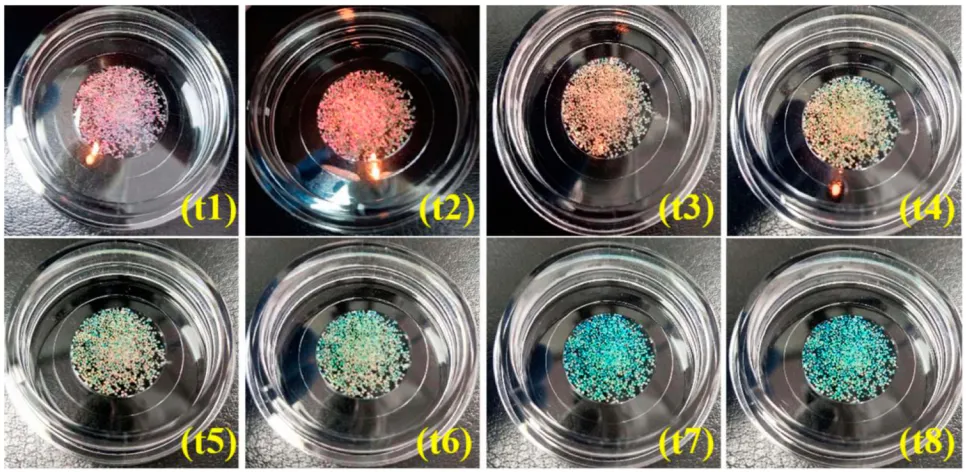 Figure 2 Different kinds of microparticles viewed under a scanning electron microscope: ((A–C) The surface microstructures (A and B) and the interior (C) of thetemplate