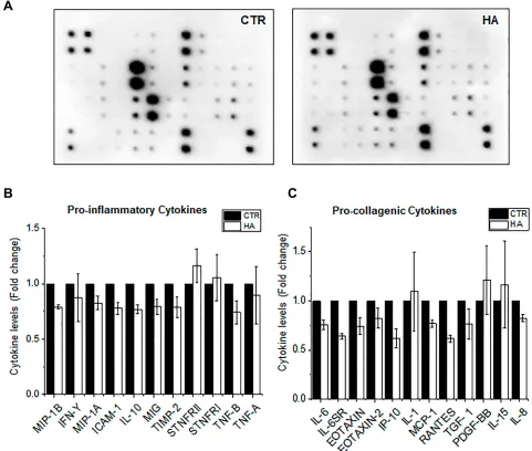Figure 2 Reduced secretion of pro-inuntreated HDFs (CTR) or HDFs exposed to HA particles for 3 days