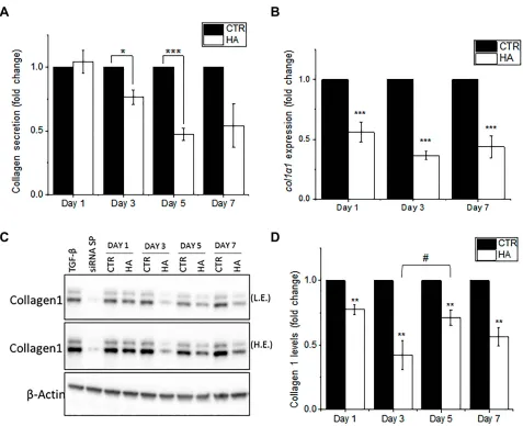 Figure 3 Reduced collagen production and secretion upon exposure to HA particles. Primary HDFs were exposed to HA particles at the administered dose of 300control and transfected with siRNA1, 3, 5 and 7 days