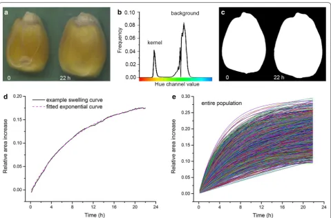 Fig. 2 Summary of the image-based method for measuring imbibition and the data it produces