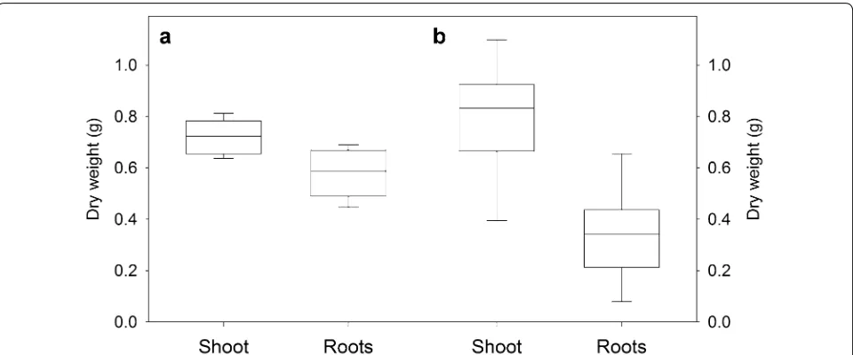 Fig. 4 Malate efflux from the apices of various root types. Data are presented as the counterpart root type in the control treatment