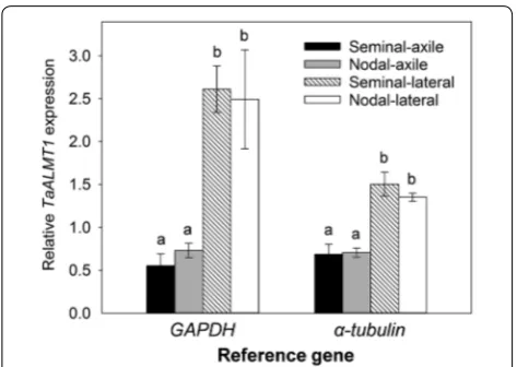 Fig. 5 TaALMT1 expression in various root types. Relative TaALMT1 expression in the various roots of wheat were measured using GAPDH or α-tubulin as reference genes