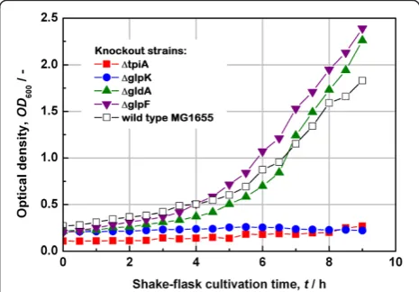 Figure 1 Growth testing of the wild type MG1655 and Keiodeletion mutant strains in shake-flasks on a glycerol-basedLB medium.