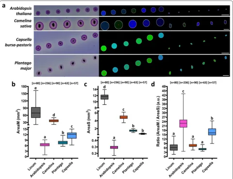 Fig. 7 Application of MuSeeQ on other fundamental and crop species. a For each species are presented, from the left to the right, the input images, images corresponding to the segmented soluble mucilage and those corresponding to the segmented seeds