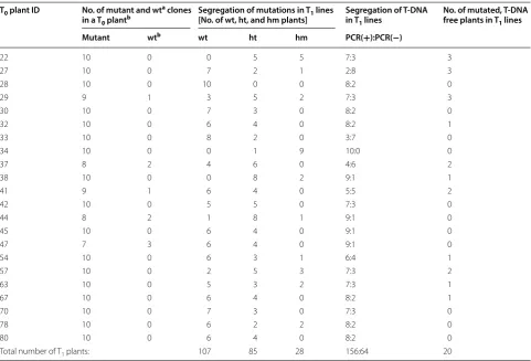 Table 1 Summary of  genetic transformation of  barley with  different sgRNA constructs and  PCR/RE screening of transformants for the presence of induced mutations