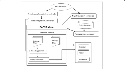 Figure 1 Flowchart of our method. First step is to detect candidate protein complexes through some state-of-the-art protein complexdetection algorithms
