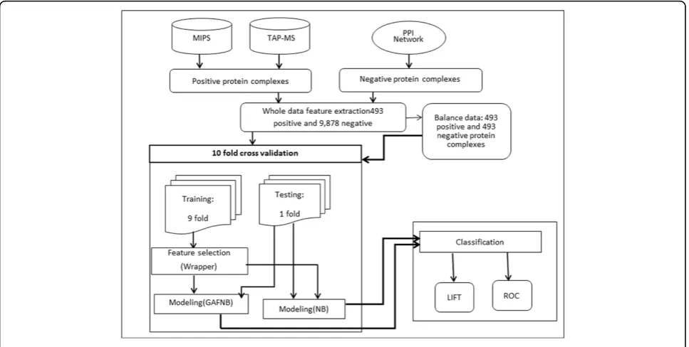 Figure 7 Flowchart of GAFNB evaluation