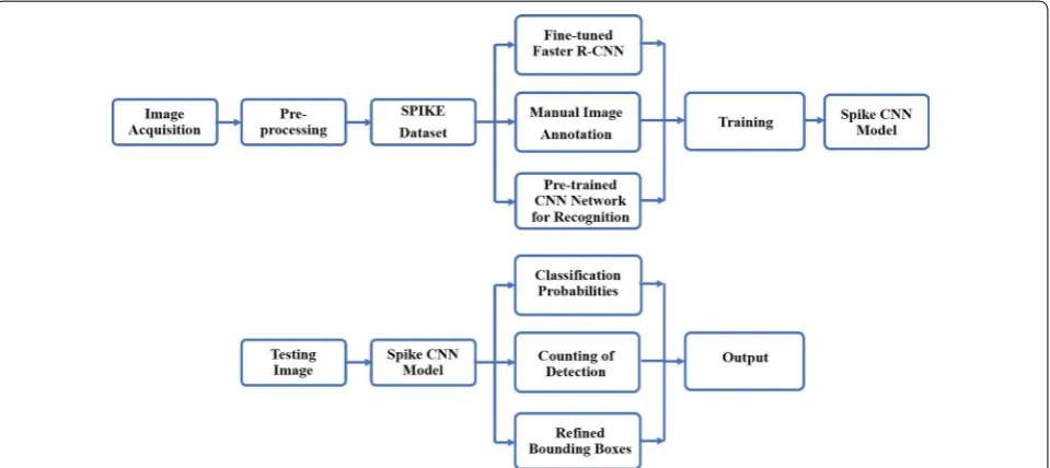 Figure 1 shows the overall work-flow of the in-field wheat spike detection system. The goal is to develop a fast and accurate system which can detect spikes from field images
