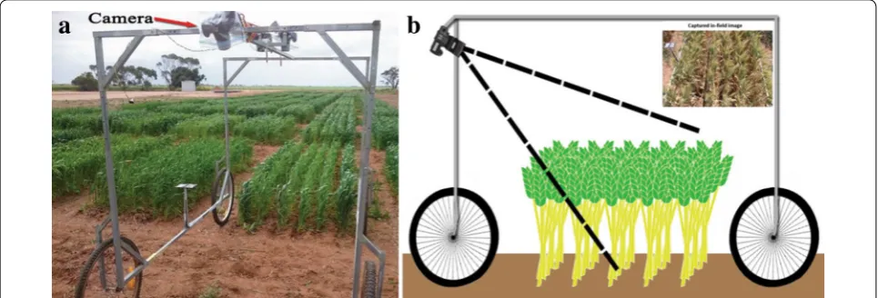 Fig. 2 The ground-based vehicle for imaging in the field. on a four-wheel base (the wagon)