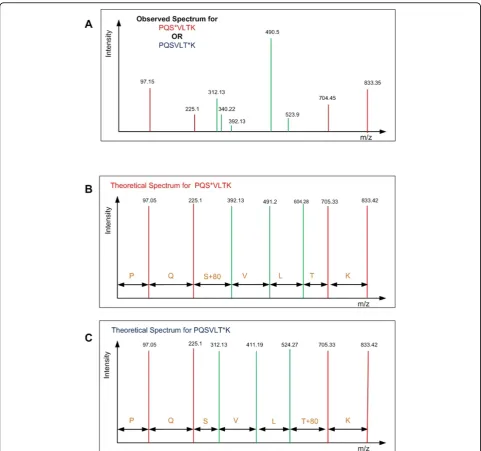 Figure 1 Simplified problem statement: Observed spectrum of a mono-phosphorylated peptide (PQSVLTK) is shown (A) and theproblem is to determine which of the possible configuration PQS*VLTK (shown in B) or PQSVLT*K (shown in C) (* indicatesphosphorylated residue) has the theoretical spectrum that corresponds best to the observed spectrum.