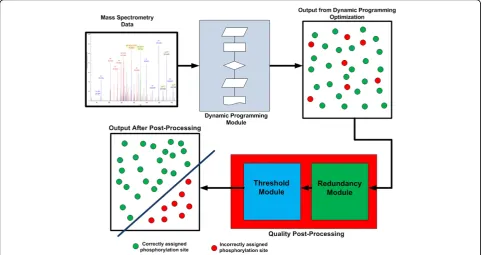 Figure 2 Flow diagram for PhosSA algorithm. Mass spectrometry data are fed into the dynamic programming module