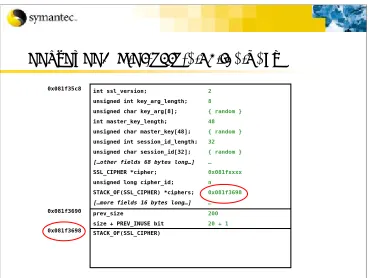 Figure 5: SSL_SESSION structure on the heap