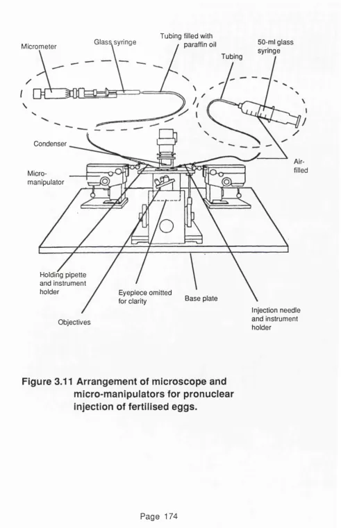 Figure 3.11 Arrangement of microscope and 