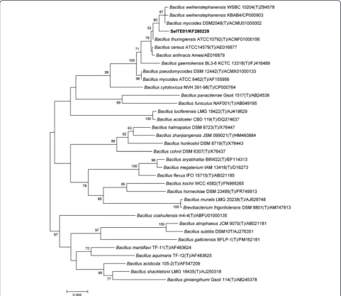 Figure 1 Neighbour-joining tree inferred through MEGA 5.0 software [61] based on the sequences of 16S rRNA gene, showing thephylogenetic relationship of strain SeITE01 and related species