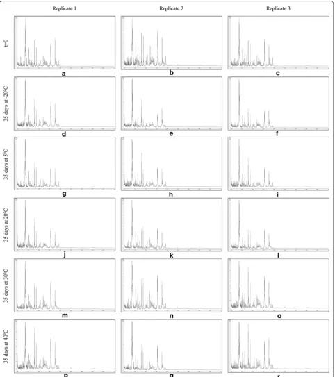 Fig. 8 MALDI-TOF MS spectra from triplicate sample preparations of fluids dried onto filter paper at t Impatiens glandulifera-leaf acid-soluble proteins extracted from crushed-leaf = 0 (a–c), and after storage for 35 days at − 20 °C (d–f), 5 °C (g–i), 20 °