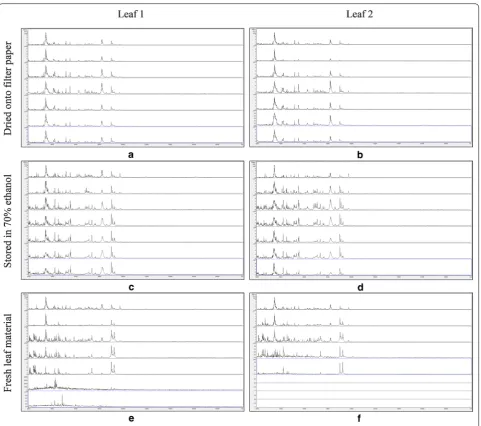 Fig. 3 MALDI-TOF MS spectra for duplicate leaf samples of filter paper; Impatiens glandulidera, with samples, from top to bottom within each panel, processed immediately and after storage for 3, 8, 14, 21, 30, and 36 days at 20 °C