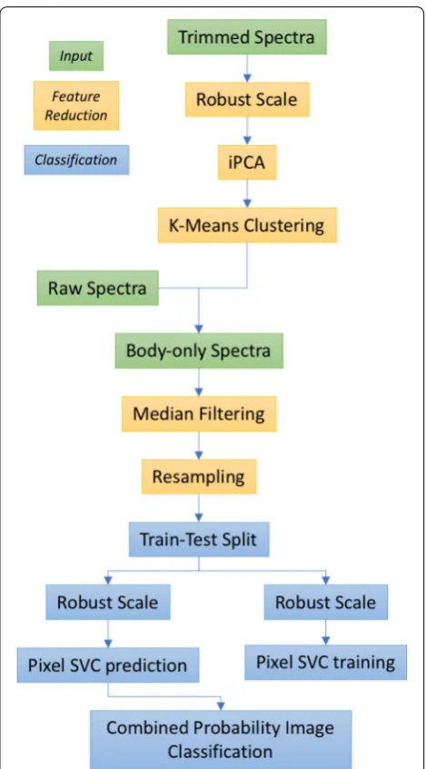 Fig. 2 Flowchart of Phase-2 processing. The flowchart depicts the steps undertaken to process the MSI data and classify the viral vectors