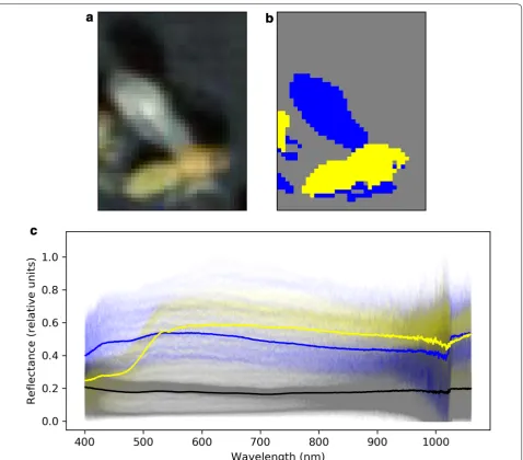 Fig. 3 Example body region segmentation. a RGB image, b K-means classified image, c spectra for each pixel