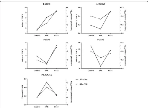 Fig. 4 Expression changes of FABP2, ACSBG1, PLIN1, PLIN2 and PLA2G4A. The expression levels of FABP2, ACSBG1, PLIN1, PLIN2 and PLA2G4Aduring chicken liver from RNA-Seq results are same with the expression trends of these genes from quantitative real-time (