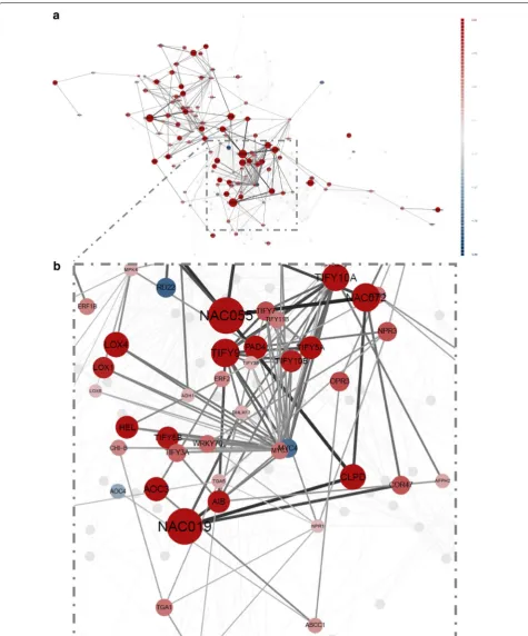 Fig. 2 Arabidopsis thaliana response to bacterial pathogen Pseudomonas syringae DC3000