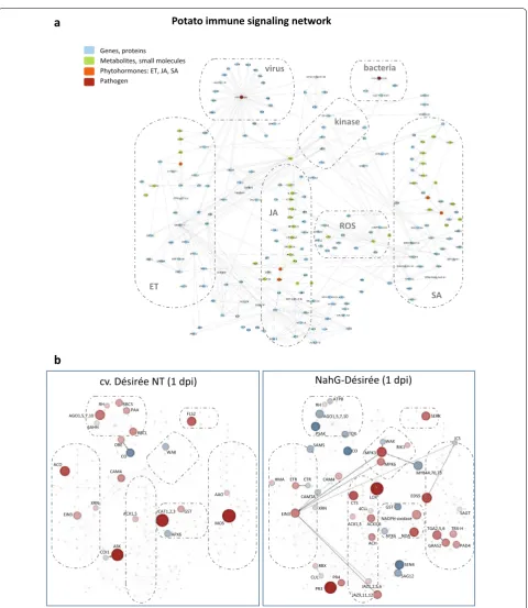 Fig. 3 Visualisation of data in PIS network using DiNAR. a Potato immune signalling network comprising metabolic, signalling and gene regulatory pathways of SA, JA and ET