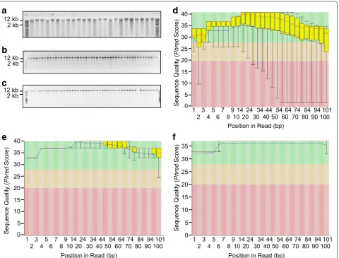 Fig. 4 Influence of genomic DNA (gDNA) extraction protocols on sequencing quality. We assessed and modified methodologies to establish a high-throughput protocol to extract gDNA from white clover, a species prone to yielding degraded DNA