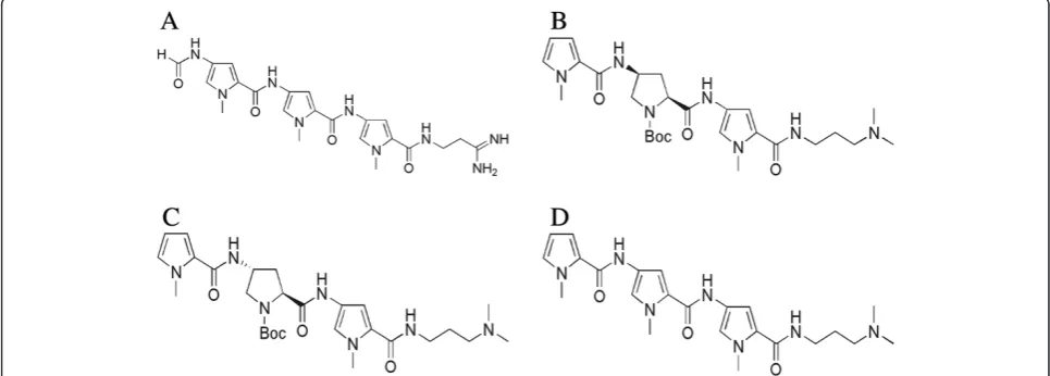 Figure 1 Chemical structures of distamycin A, PySSPy, PyRSPy and 3A. (A) Distamycin A