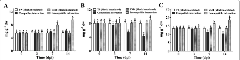 Figure 1 Effect of MYMIV inoculation on soluble, insoluble and total carbohydrate content of Vigna mungo leaves