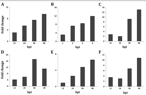 Figure 8 Expression analysis of MYMIV responsive genes during MYMIV -activase (HO223989) and ( V