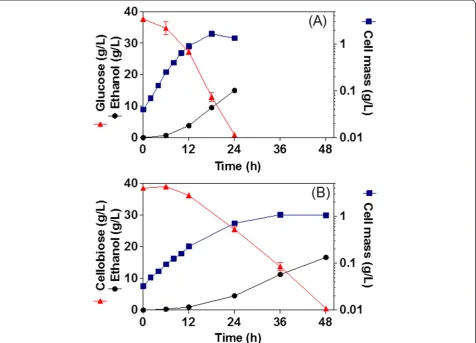 Figure 3 Fermentation kinetics of glucose (A) and cellobiose (B) with MS04/pAg43BglC. Cultures were performed at 37°C and pH 7 (n = 4).