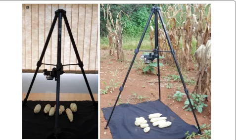 Fig. 1 Overall view of the experimental setup and single plot details