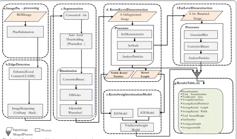 Fig. 3 Workflow diagram of the image processing procedure