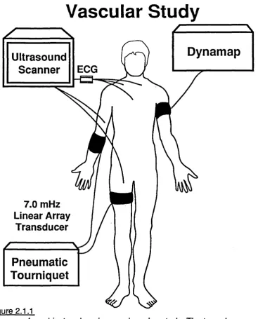Figure 2.1.2Protocol of the non-invasive study. The study takes 30 minutes. 