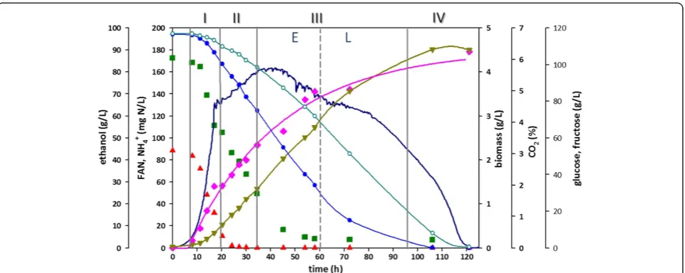 Figure 1 Batch fermentation profile. Vertical continuous grey lines indicate the proposed phases