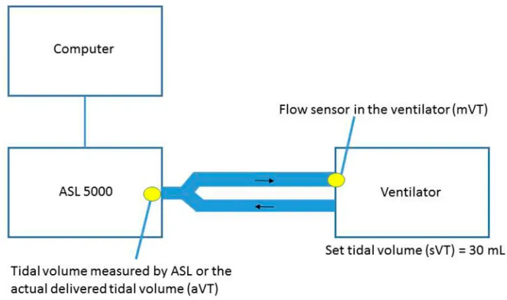 Table 2 Ventilator Displayed or Measured Tidal Volume and Actually Delivered Tidal Volume
