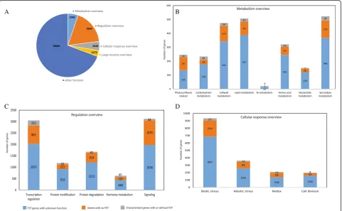 Fig 2 MapMan classification of all RGAP annotated genes, FST genes, and non-FST genes