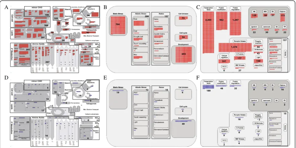 Fig 3 MapMan analysis of FST genes and characterized genes in metabolism, cellular response and regulation overviews