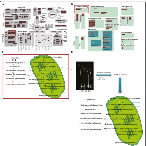 Fig 5 Strategy for the application of FST genes: A case study using FST mutant for DXR gene and transcriptome data